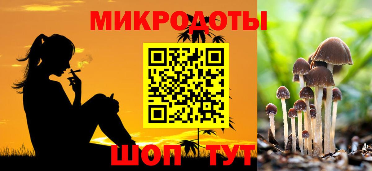 Гай  хочу наркоту  Вход с VPN  Псилоцибиновые грибы MAGIC MUSHROOMS 